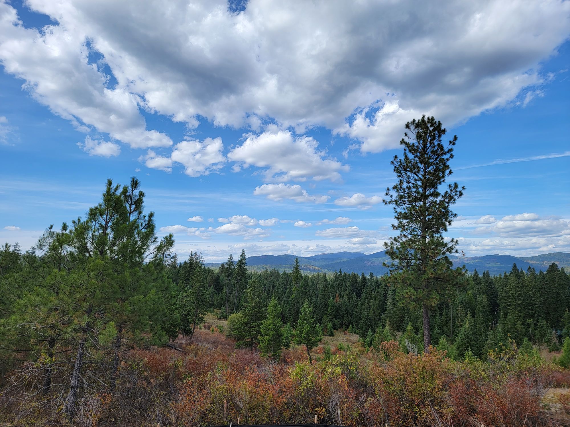 Mountain view over the foothills near the town of Hauser, Idaho